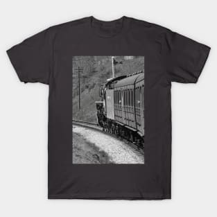 Steamy Ridings T-Shirt